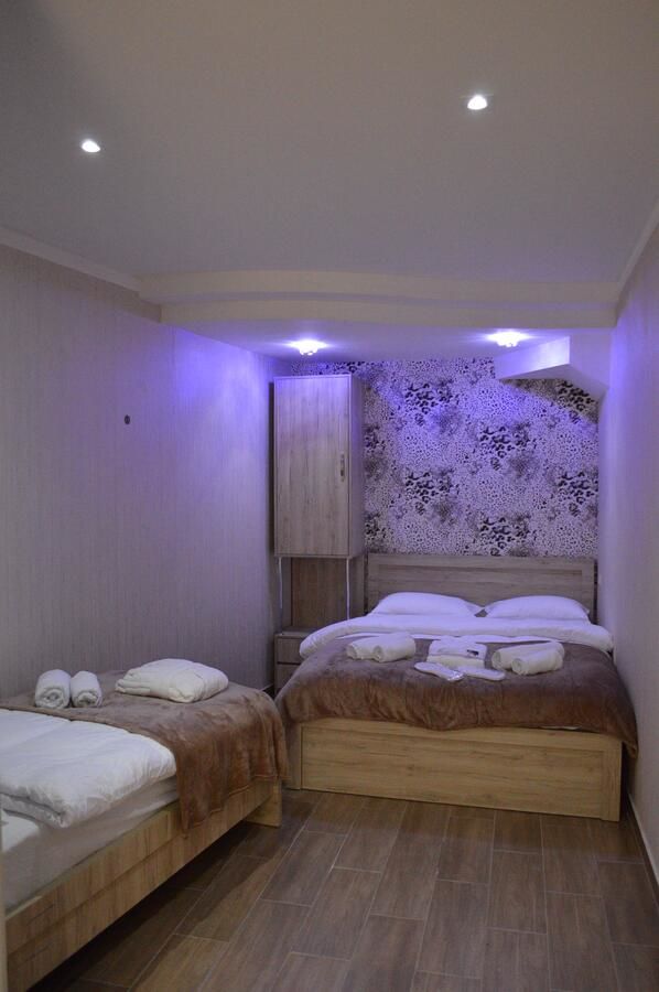 Отель Hotel Lion in Borjomi Боржоми