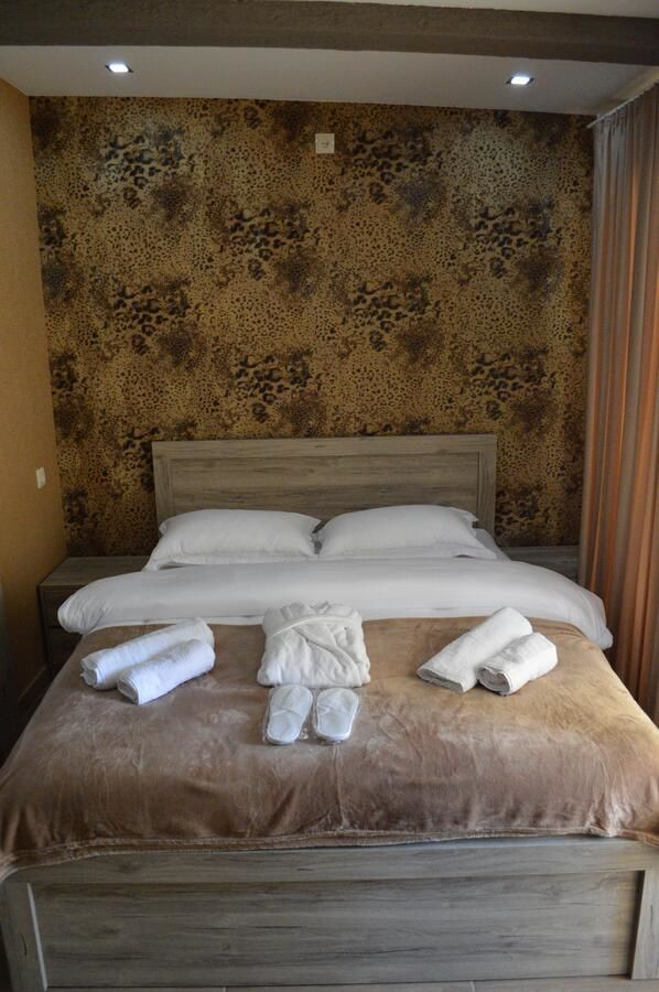 Отель Hotel Lion in Borjomi Боржоми