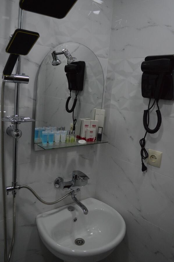 Отель Hotel Lion in Borjomi Боржоми