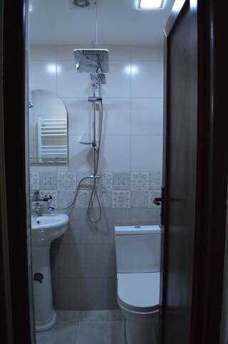 Отель Hotel Lion in Borjomi Боржоми-1